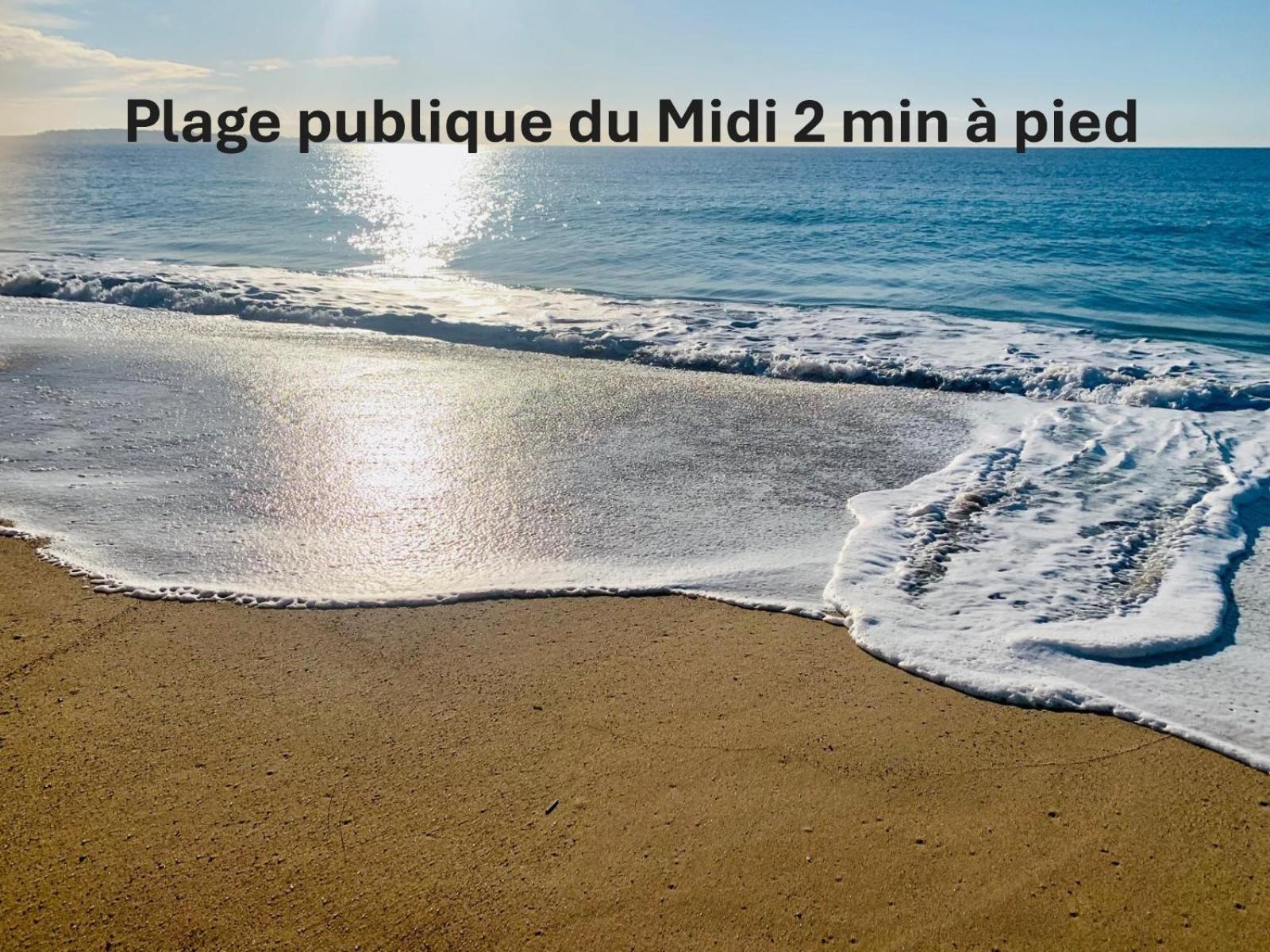 Studio Lumineux 200 M Des Plages A0B192 戛纳 外观 照片